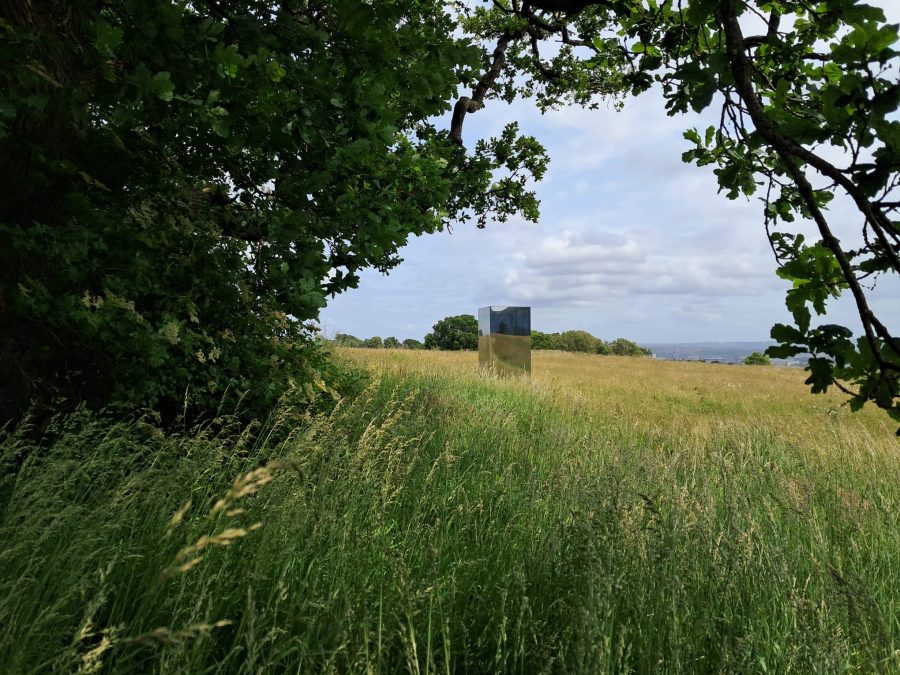 The leaves of an oak tree frame a large mirrored box surrounded by long grasses. It is a cloudy day and the surfaces of the box are reflecting the sky, grass and trees around it.