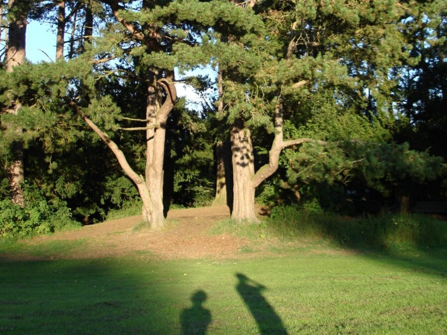 Hurworth Grange Community Grounds, Darlington