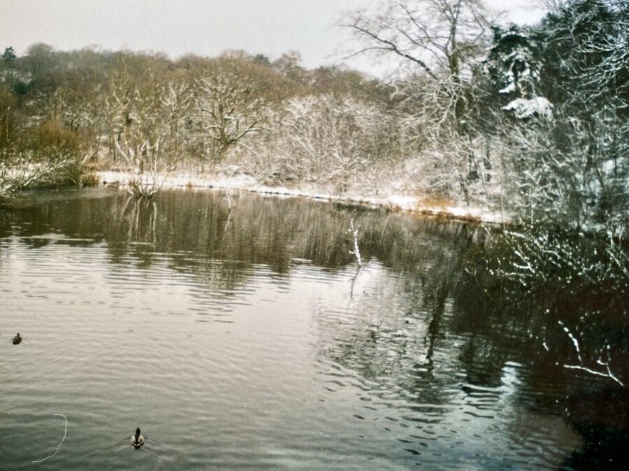 Knypersley Pool, Staffordshire
