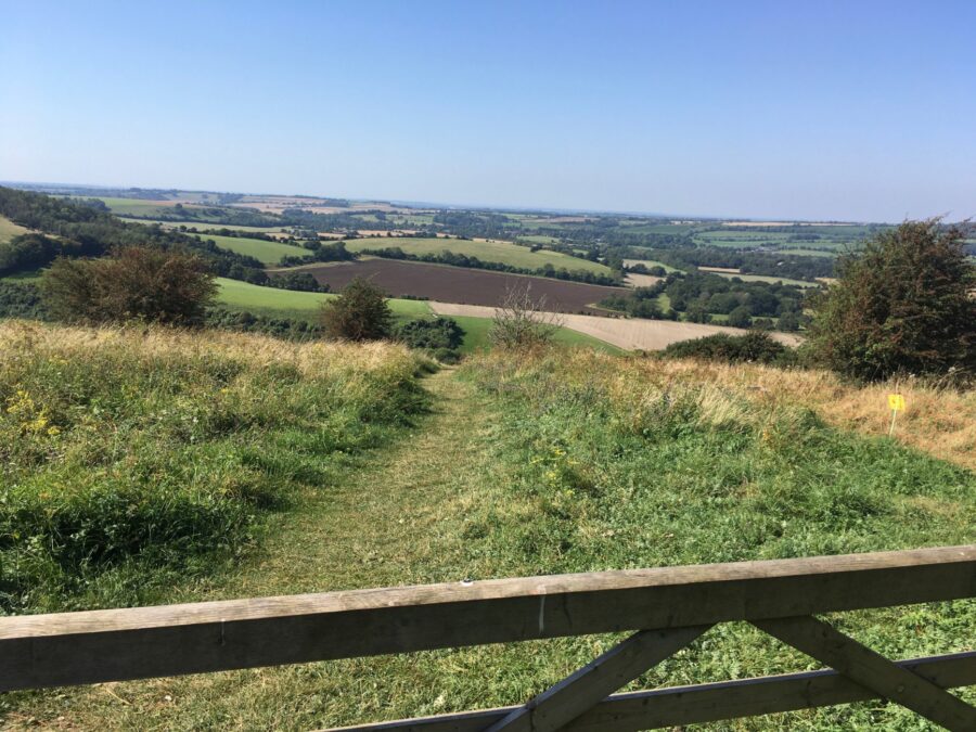 Old Winchester Hill, Hampshire