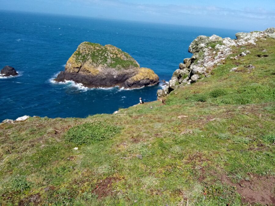 Skomer Island, Pembrokeshire, Wales